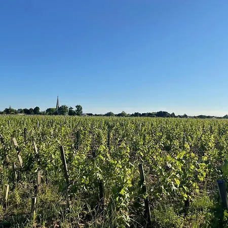 Oda ve Kahvaltı L'amphore Du Clos De Bigos