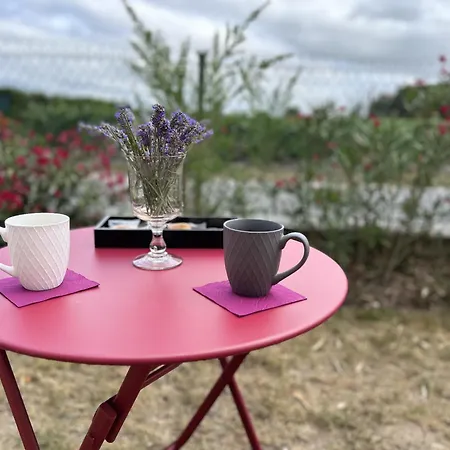 Couette-café L'amphore Du Clos De Bigos *