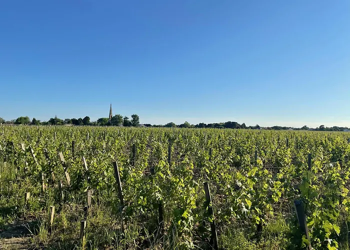 Bed & Breakfast L'amphore Du Clos De Bigos
